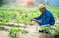 Sector agroalimentario de Malasia alcanza logros alentadores