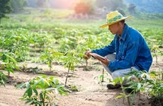 Sector agroalimentario de Malasia alcanza logros alentadores