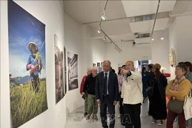 Destacan belleza de mujeres vietnamitas en Francia 