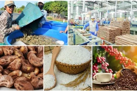 Superávit agroforestal y acuícola de Vietnam supera cuatro mil millones de dólares
