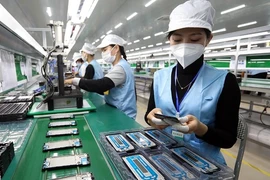 Empresas francesas muestran interés por entorno de inversión de Vietnam
