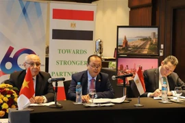 Vietnam y Egipto intercambian experiencias para atraer financiamiento verde