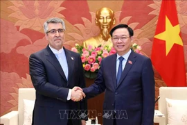 Embajador: Visita a Irán del presidente Vuong Dinh Hue profundizará nexos bilaterales