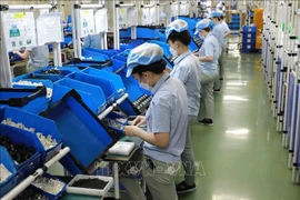Vietnam y Singapur necesitan impulsar cooperación en economía digital
