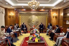 Vietnam y Estados Unidos cooperan en superar consecuencias de guerra 