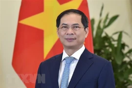 Resaltan significado de viaje del canciller vietnamita a Francia 