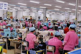 Kien Giang registra aumento de 10 por ciento del valor de producción industrial