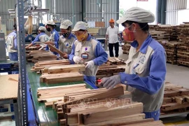 Economía de Vietnam experimenta una fuerte recuperación