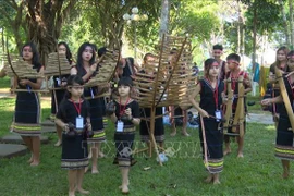 Múltiples actividades del Festival Cultural de Grupos Éticos en Dak Lak