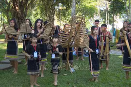 Múltiples actividades del Festival Cultural de Grupos Éticos en Dak Lak