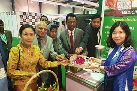 Promocionan pitahaya vietnamita en Feria Internacional My Karachi-Oasis of Harmony 2023