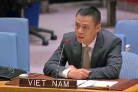 Vietnam asiste a sesión de debate abierto sobre cambio climático, paz y seguridad