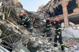 Terremoto en Turquía: Todavía no hay información sobre víctimas vietnamitas