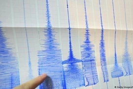 Terremoto de siete grados Richter sacude región este de Indonesia 