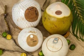 Exportaciones de coco de Vietnam superarán mil millones de dólares en los próximos años