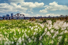 Puente Long Bien, ícono de la historia de Hanoi