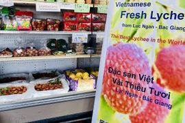 Venden en Estados Unidos lichis vietnamitas