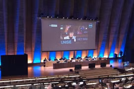 Vietnam elegido vicepresidente del Comité de UNESCO para la protección de diversidad cultural