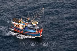Instan a implementar medidas drásticas contra pesca ilegal 