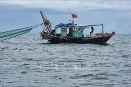 Quang Ninh confiscará vehículos y productos de pesca ilegal a partir del 1 de septiembre