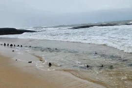 Quang Nam toma medidas de protección ante descubrimiento de presunto naufragio antiguo