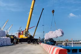 Importaciones de fertilizantes de Vietnam alcanzan en agosto el máximo de dos años