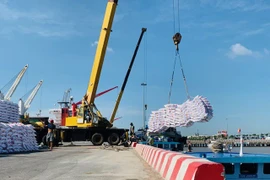 Importaciones de fertilizantes de Vietnam alcanzan en agosto el máximo de dos años