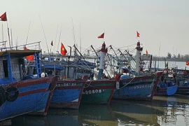 Vietnam por elevar conciencia sobre desarrollo sostenible de pesca