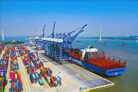 Nueva ruta marítima conecta el puerto vietnamita de Hai Phong con Ulsan de Corea del Sur
