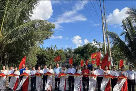 Inauguran "calle de bandera nacional" en provincia survietnamita de Bac Lieu