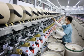 Economía de Vietnam crecerá 6,6% este año según pronóstico de OCED