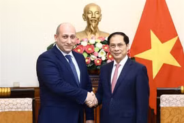Vietnam y Georgia expresan deseo de desarrollar su cooperación multifacética