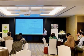 Expertos ofrecen recomendaciones para la transición verde de Vietnam