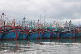 Mejoran conciencia de trabajadores en mar sobre IUU