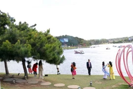 Celebrarán Festival de Cine vietnamita 2023 en noviembre próximo en Da Lat 