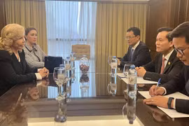 Vietnam desea fomentar nexos cooperativos con Paraguay