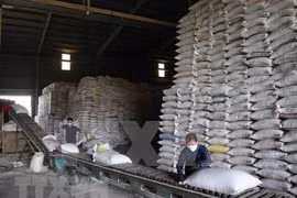 Filipinas busca aumentar sus reservas de arroz