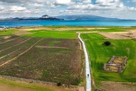 Exposición sobre isla surcoreana de Jeju se efectuará en provincia vietnamita