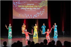 Vietnamitas en Hungría celebran programa artístico 