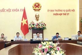 Parlamento de Vietnam examina política de desarrollo energético