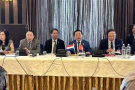 Fomentan Vietnam y Países Bajos cooperación ambiental
