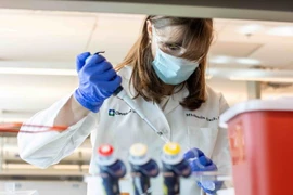 Empresas surcoreanas demuestran interés en mercado de equipos médicos de Vietnam