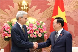 Vietnam aspira a consolidar asociación estratégica con Francia