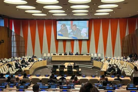 Vietnam participa en celebración del Día Internacional de la Madre Tierra