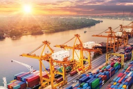 Productos agrícolas de Vietnam buscan acceso sostenible al mercado chino