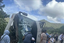 Mueren cuatro turistas extranjeros al volcar autocar en paso de montaña