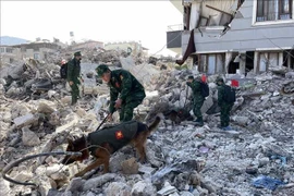 Vietnam destinará 200 mil dólares para ayudar a Turquía y Siria tras terremoto