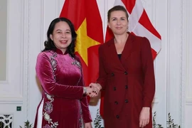 Profundizan amistad tradicional Vietnam-Dinamarca