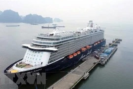 Crucero trae más de dos mil visitantes internacionales a Ha Long