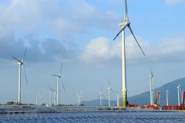 Empresa de Singapur importa energía renovable de Vietnam